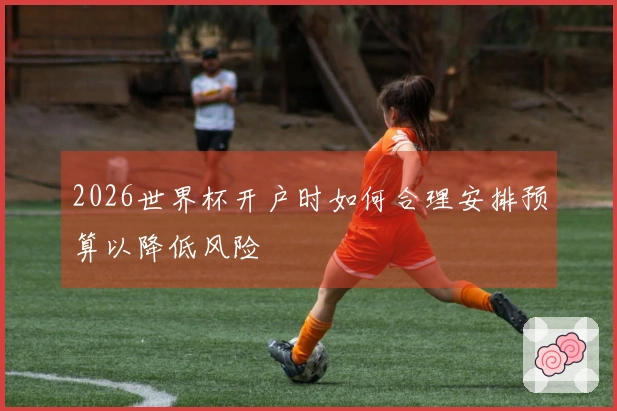 2026世界杯开户时如何合理安排预算以降低风险