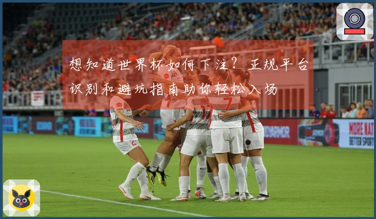 想知道世界杯如何下注？正规平台识别和避坑指南助你轻松入场